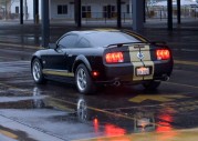 2006 Ford Shelby GT